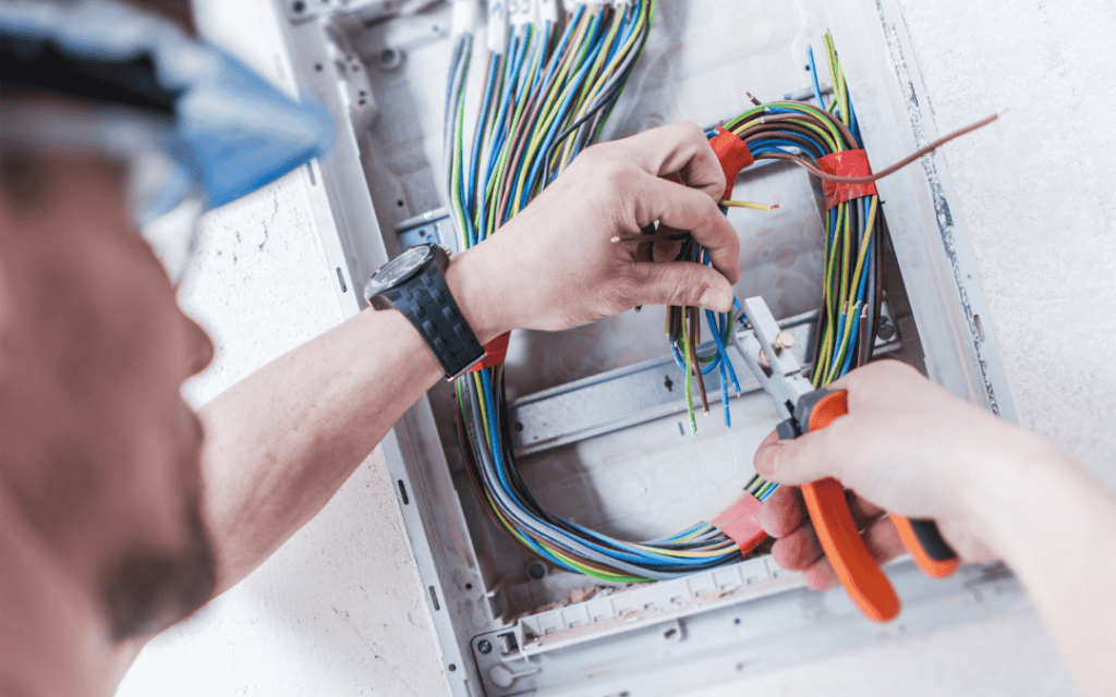 panel services