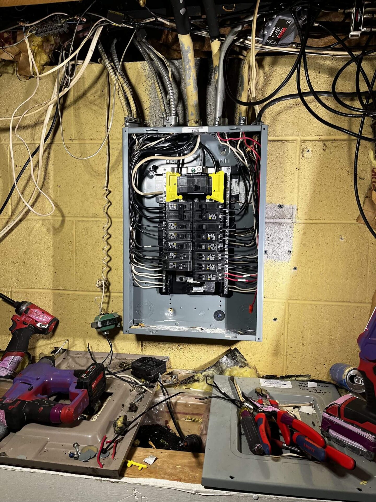 Panel Services